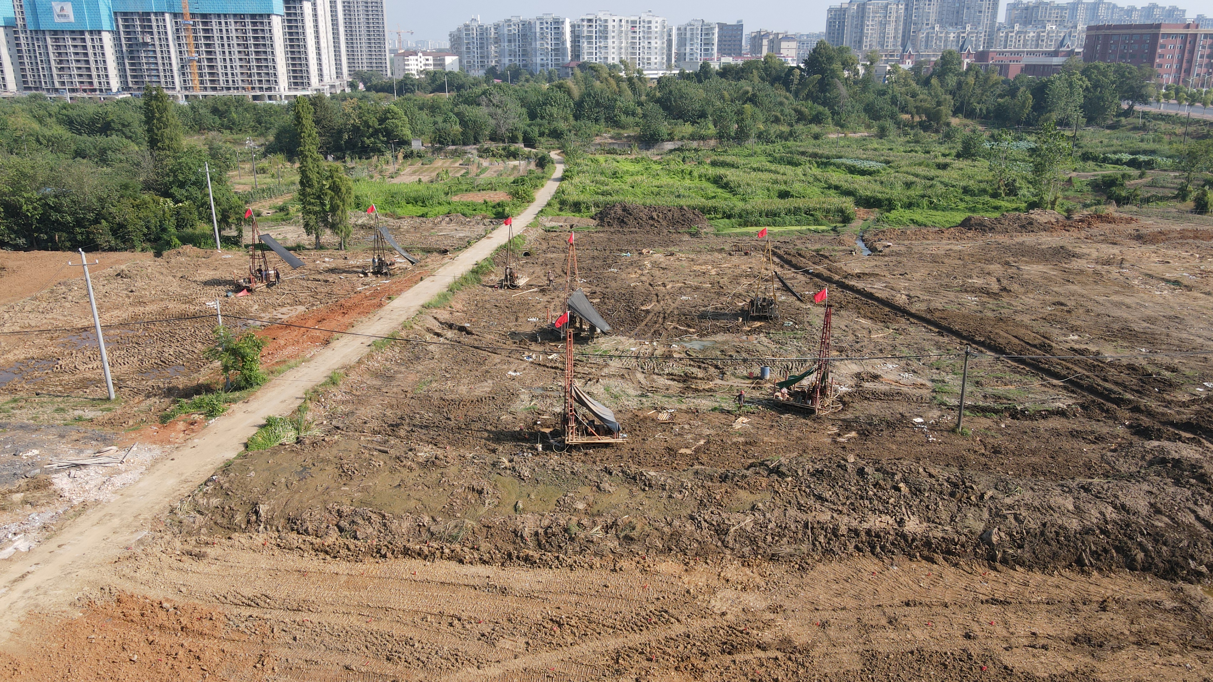 免费资料大全景