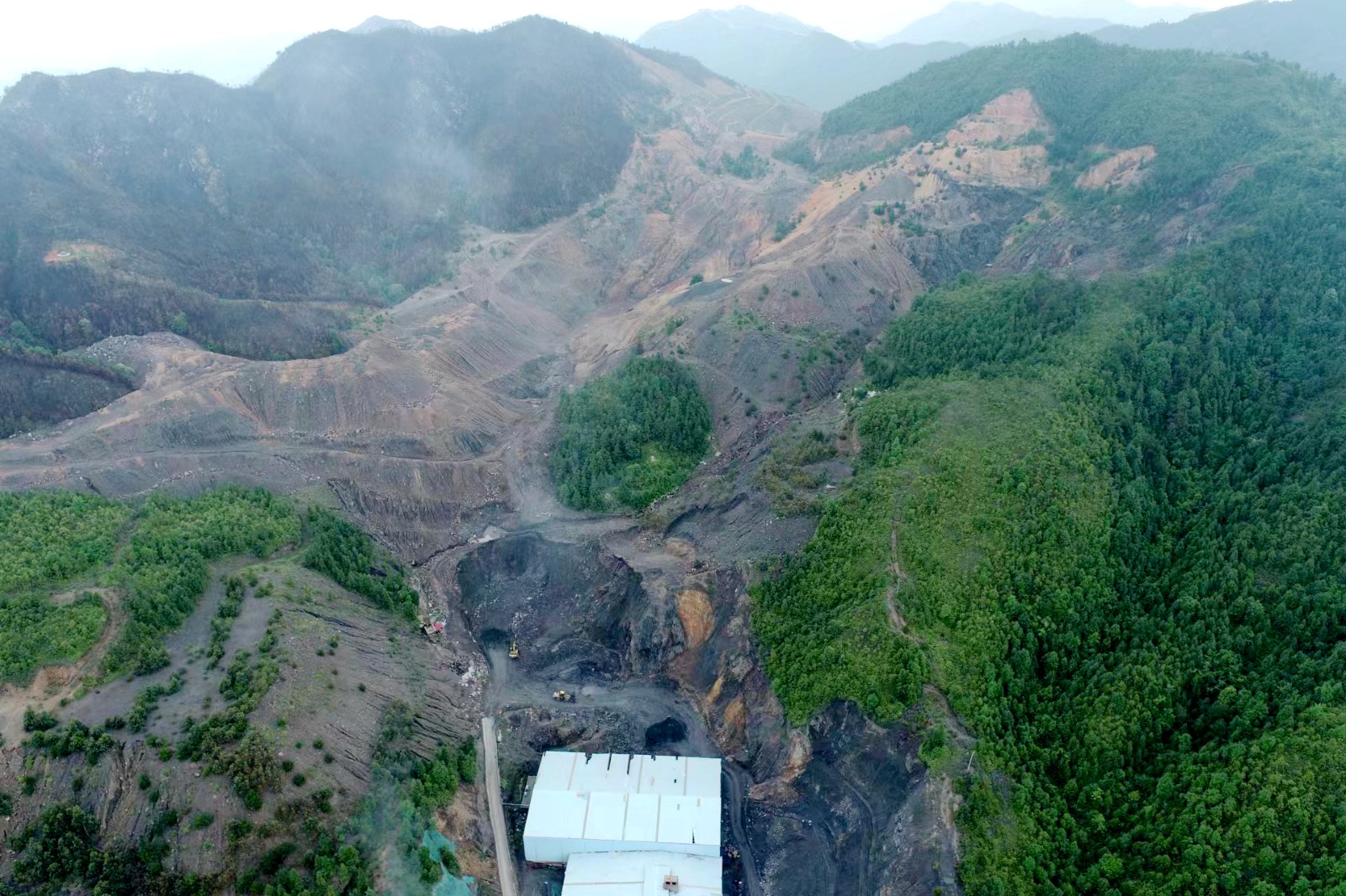 免费资料大全景