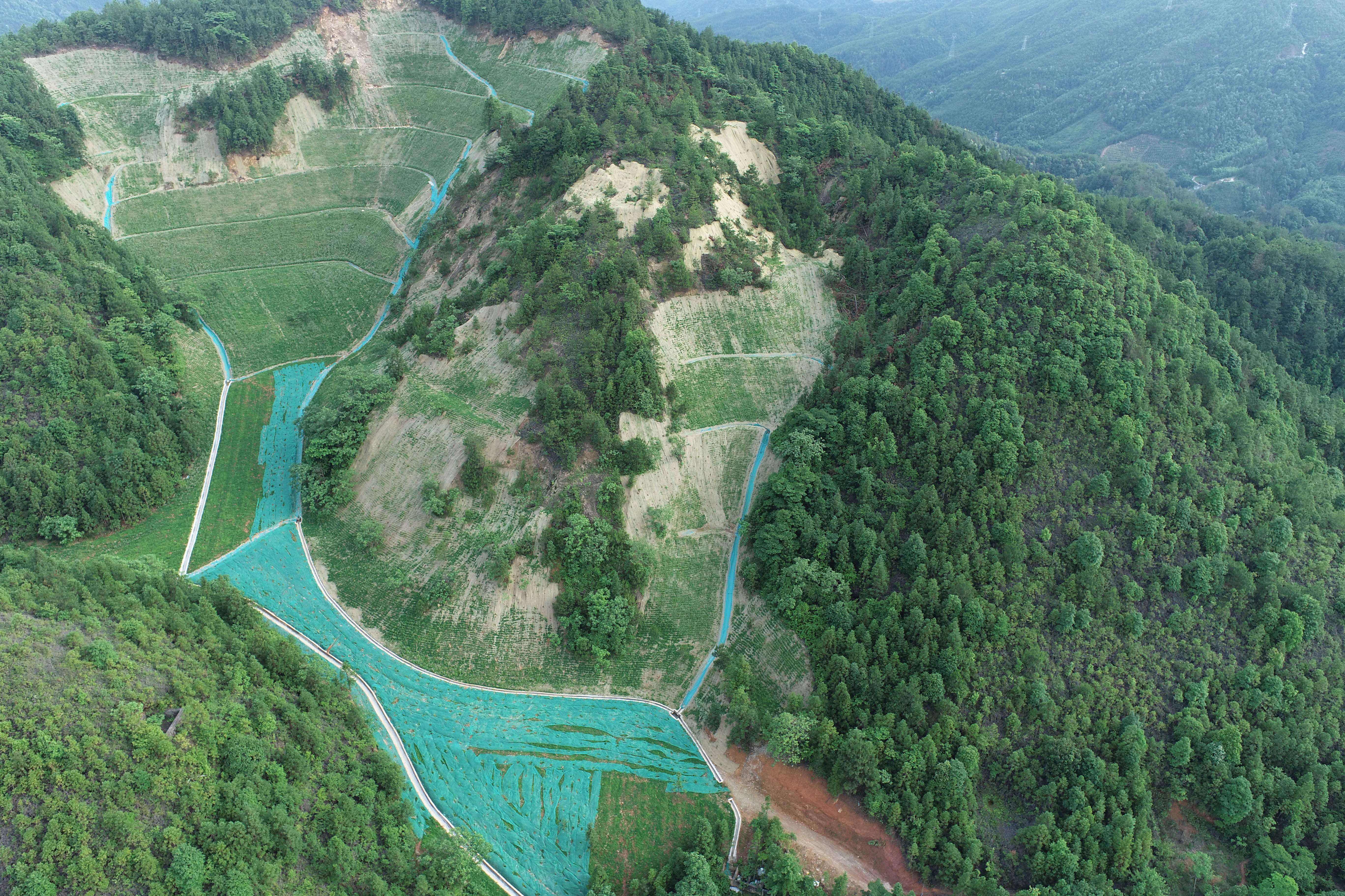 免费资料大全景